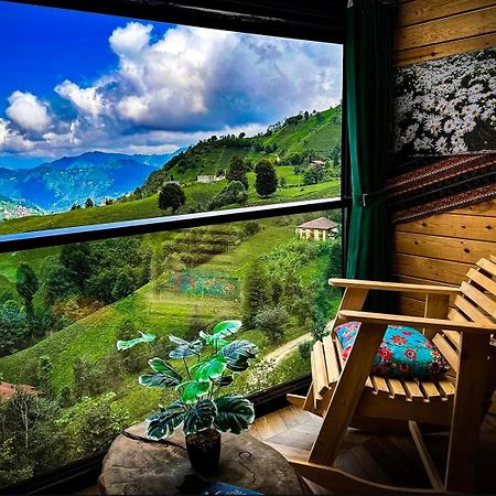Golden Paws Guesthouse Çatalca 외부 사진
