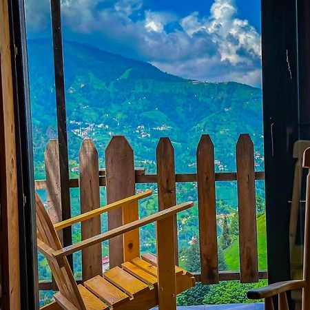 Golden Paws Guesthouse Çatalca 외부 사진